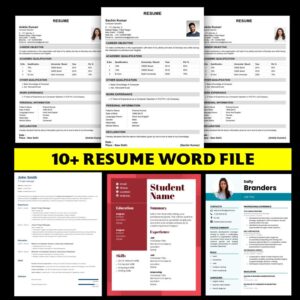 10+ RESUME WORD FILE